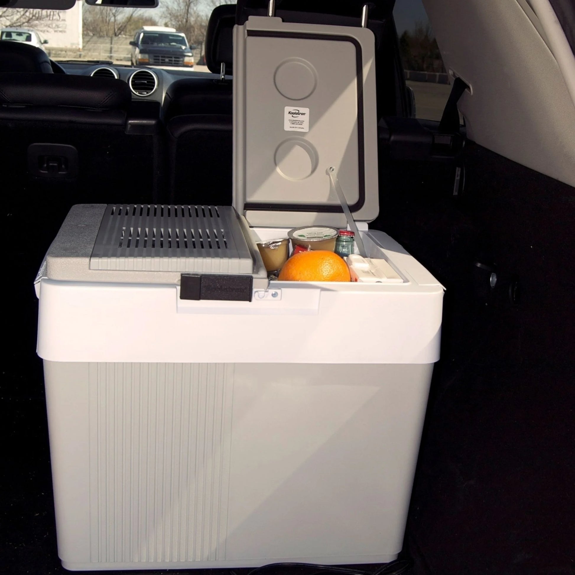 12V Electric Cooler/Warmer 34L (36 Qt), Two-Way Design, Gray