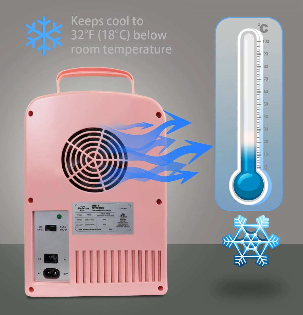 4L Retro Mini Fridge - Stylish Pink 12V DC & 110V Cooler for 6 Cans