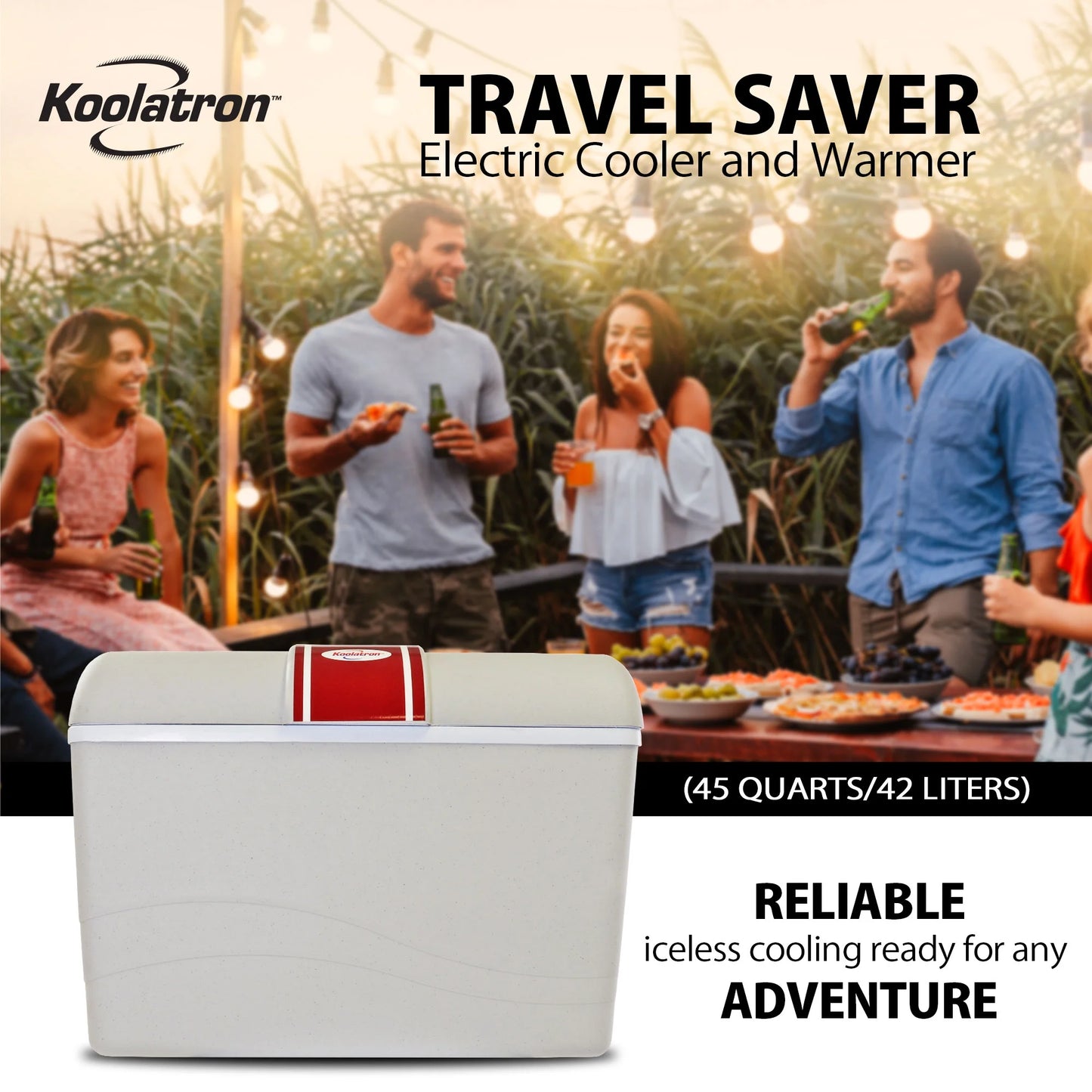 12V 42L Electric Cooler/Warmer - Versatile Two-Way Design in Sleek Gray