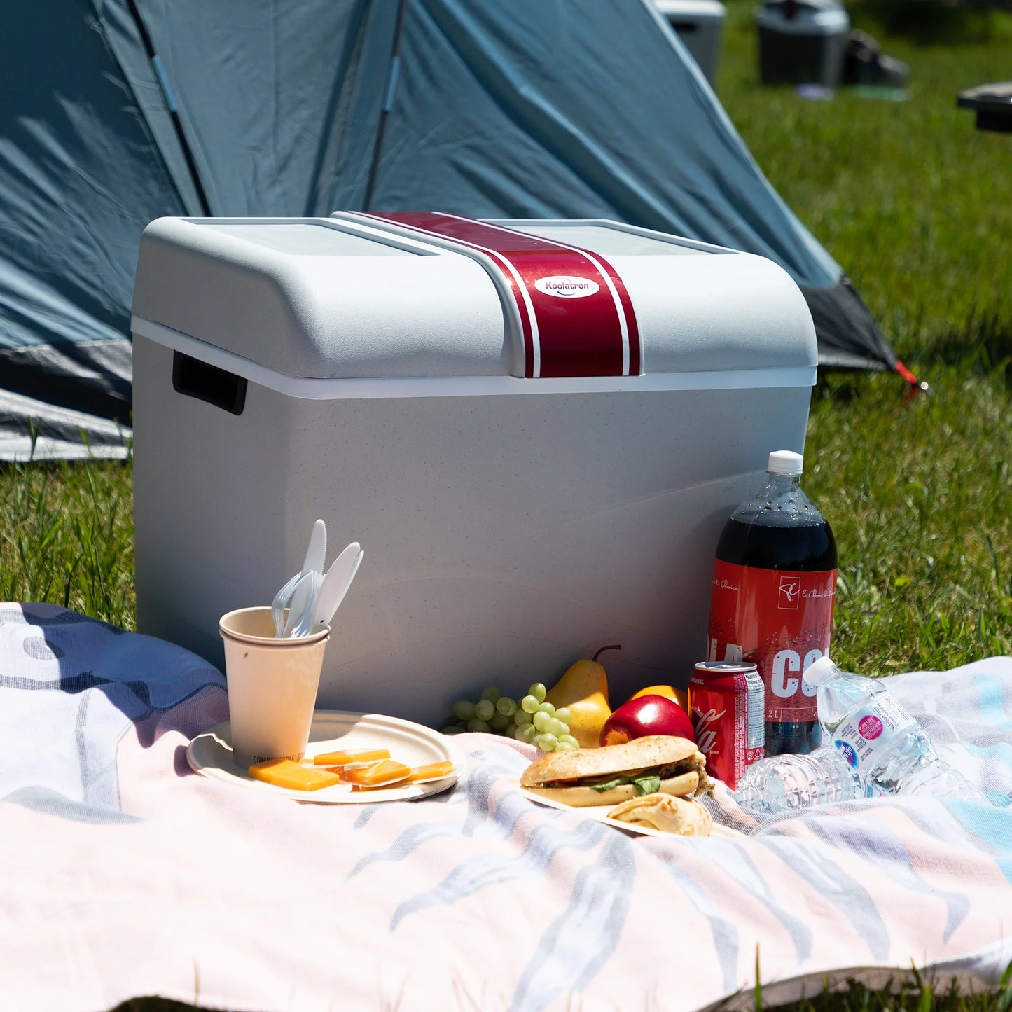 12V 42L Electric Cooler/Warmer - Versatile Two-Way Design in Sleek Gray