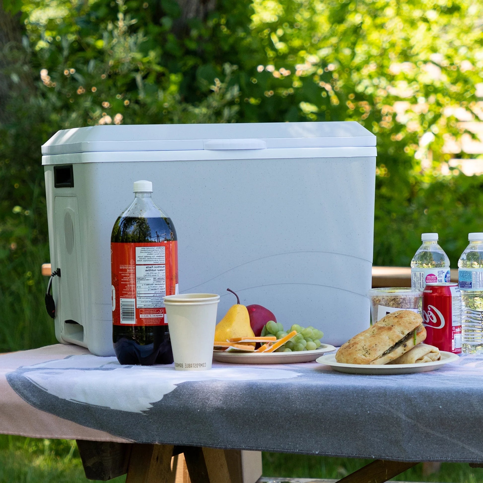 12V Electric Cooler/Warmer 34L (36 Qt), Two-Way Design, Gray