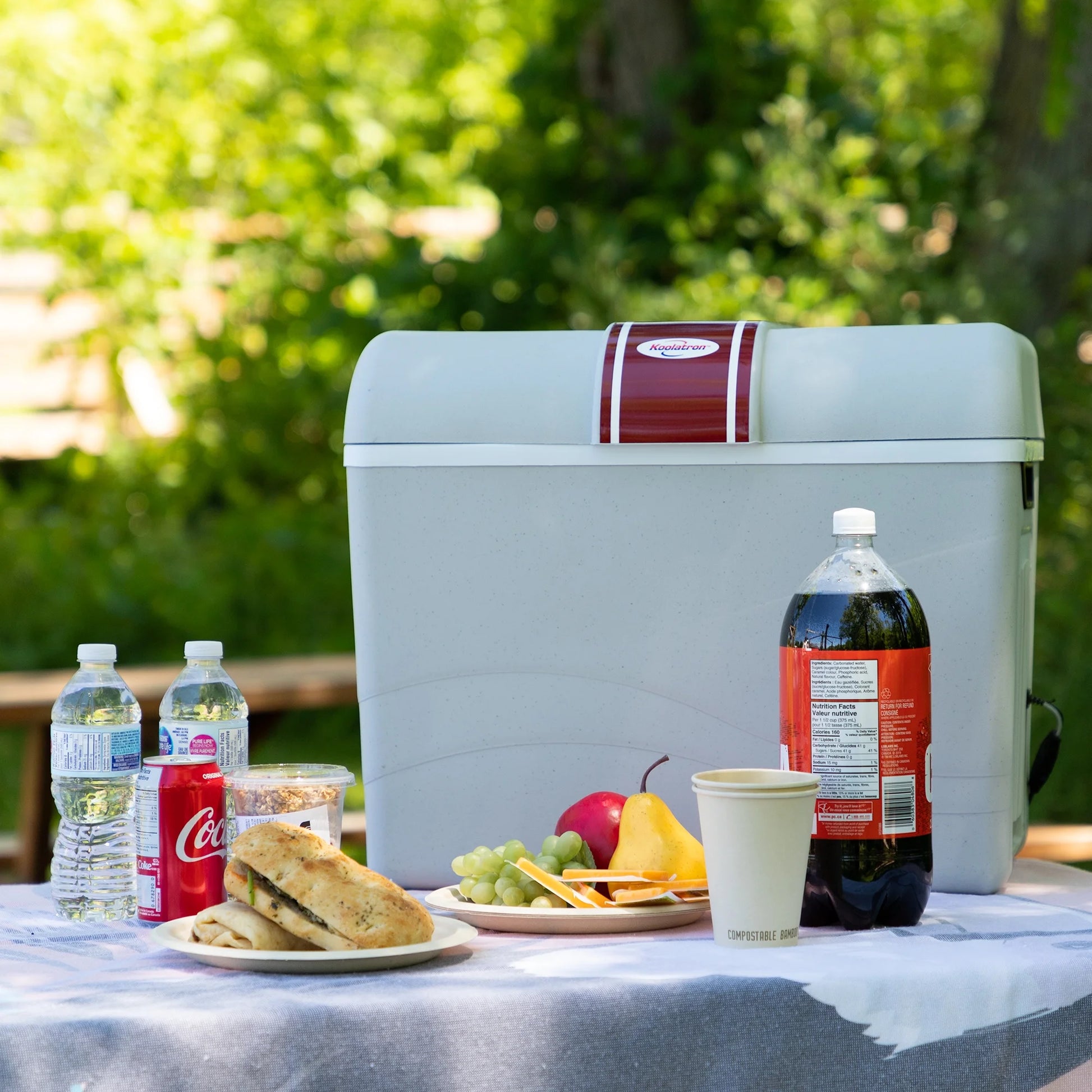 12V 42L Electric Cooler/Warmer - Versatile Two-Way Design in Sleek Gray